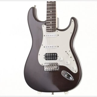 Fender Highway One Stratocaster HSS Ebony Transparent/R 【池袋店】