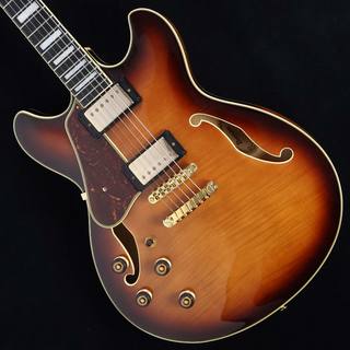 エレクトリックギター ＞ セミアコ、Ibanezの検索結果【楽器検索