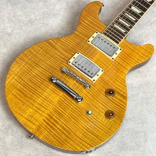Gibson Les Paul Standard Double Cutaway