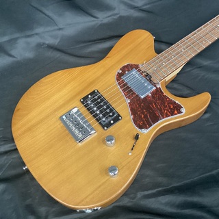 GrassRoots テレキャスター エレキギター バタースコッチ グラスルーツ GrassRoots テレキャスター エレキギター バタースコッチ グラスルーツ