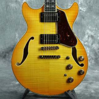 エレクトリックギター ＞ セミアコ、Ibanezの検索結果【楽器検索
