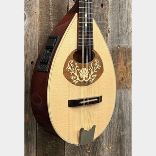 弦楽器、HORAの検索結果【楽器検索デジマート】