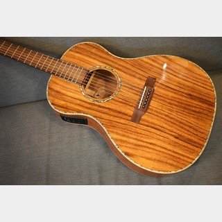 アコースティックギター／エレクトリック・アコースティックギター