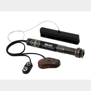L.R.Baggs iBEAM Active