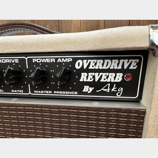 AKGOVERDRIVE REVERB 22Watt Combo 