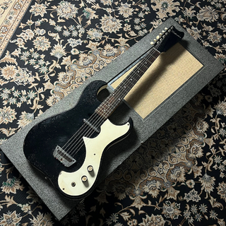 Silvertoneの検索結果【楽器検索デジマート】