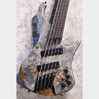 エレクトリック・ベース ＞ 変形タイプの検索結果【楽器検索デジマート】