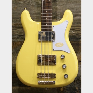 EpiphoneNewport Bass