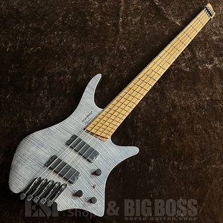 エレクトリック・ベース ＞ 変形タイプの検索結果【楽器検索デジマート】