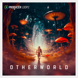 PRODUCER LOOPS OTHERWORLD