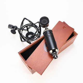 マイク、Baby Bottle SL OR Bluebird SL OR Spark SLの検索結果【楽器