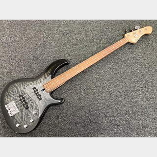 Aria Pro IIの検索結果【楽器検索デジマート】