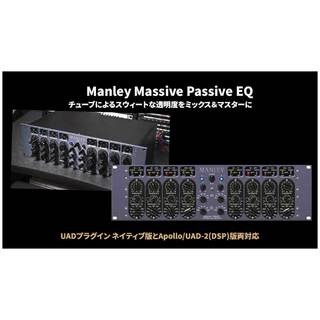 Universal Audio 【BLACK FRIDAY SALE！】Manley Massive Passive EQ プラグインソフト