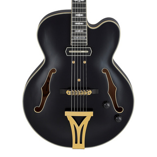 Ibanez SIGNATURE MODEL Pat Metheny PM3C-BKL (Black Low Gloss)【ローン分割48回まで金利手数料無料!】