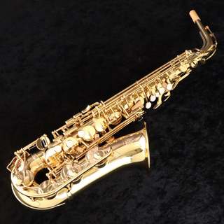 サックス アルト Soleil アルトサックス 初心者 入門セット SAL-1