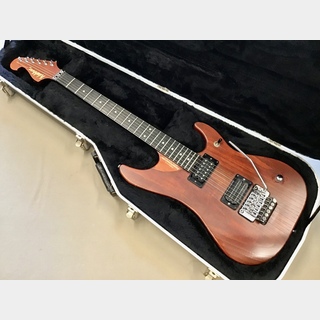 Washburn N4-SA