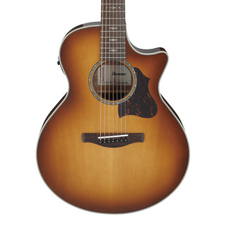 Ibanez エレアコギター AEC24Ⅱ ソフトケース付美品1948-06-1