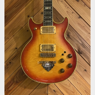 エレクトリックギター、Ibanez、ARの検索結果【楽器検索デジマート】