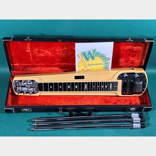 ラップスチールの検索結果【楽器検索デジマート】