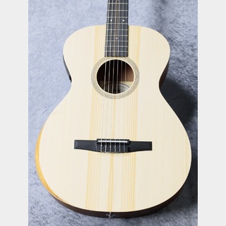 Taylor【お取り寄せ商品】Academy12e-N