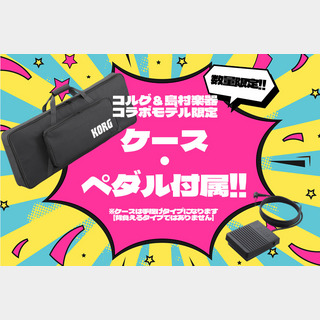 KORG KROSS2-61 (KROSS2-61-SC 限定ホワイト) 【ケース・TRITON音色SDカード付属】
