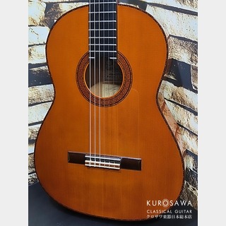 フラメンコギター　レアセット フラメンコ・ギターの検索結果【楽器検索デジマート】