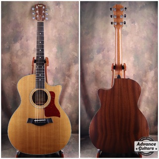 エレクトリック・アコースティックギター、Taylor、314ceの検索