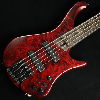 Ibanez EHB1505 Stained Wine Red Low Gloss　S/N：I240505052 【ヘッドレスベース】【５弦】 【未展示品】