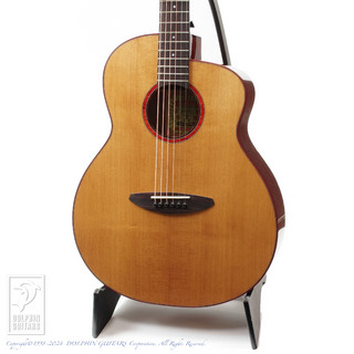 aNueNue LF550 (Torrefied Sitka Spruce)