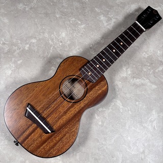 G-Labo DISH-1TS15FN【現物画像】うすれれ ガズレレ