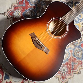 アコースティックギター／エレクトリック・アコースティックギター