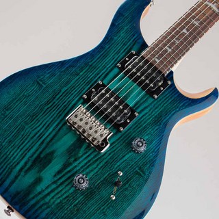 PRS SE Custom24 エレキギター ポールリードスミス バード