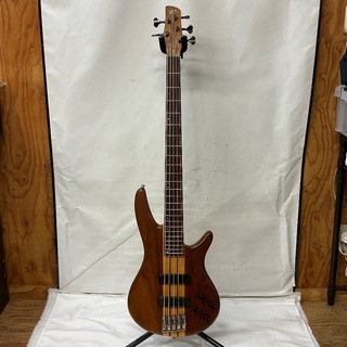 スルーネック 5弦の検索結果【楽器検索デジマート】