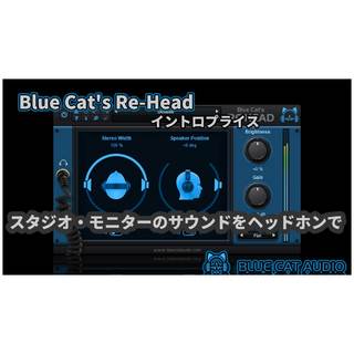 Blue Cat Audio Blue Cat Audio Blue Cat's Re-Head ブルーキャットオーディオ 【代引き不可】