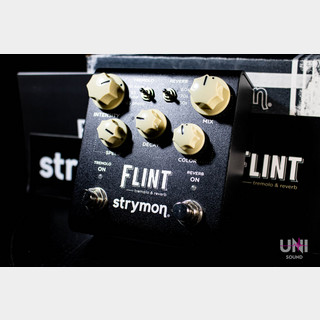 strymon FLINT V2