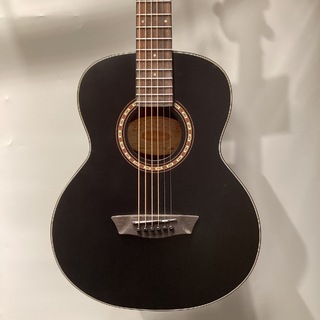 アコースティックギター／エレクトリック・アコースティックギター