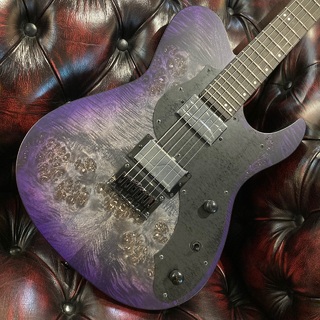 エレクトリックギター、FUJIGEN(FGN)の検索結果【楽器検索デジマート】