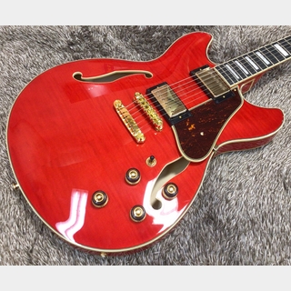 エレクトリックギター ＞ セミアコの検索結果【楽器検索デジマート】