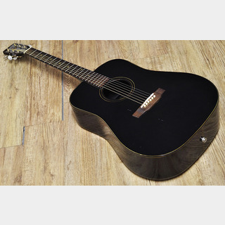 アコースティックギター／エレクトリック・アコースティックギター