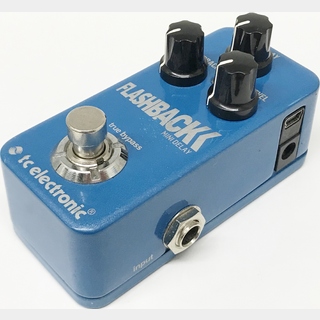 tc electronic Flashback Mini Delay