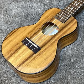 Koalana KCA-00TR【尾張小牧店】