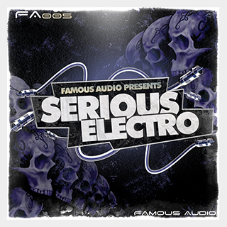 FAMOUS AUDIOSERIOUS ELECTRO