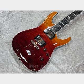 E-II、Horizon NT-IIの検索結果【楽器検索デジマート】