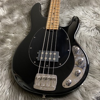 MUSIC MAN StingRay Special 1H/M -Black【現物画像】【最大36回分割無金利 実施中】