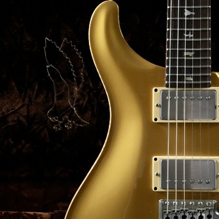 Paul Reed Smith(PRS)Private Stock ＃1949 Custom 24 Brazilian Rosewood FB/Gold Top【コレクターズコンディション】