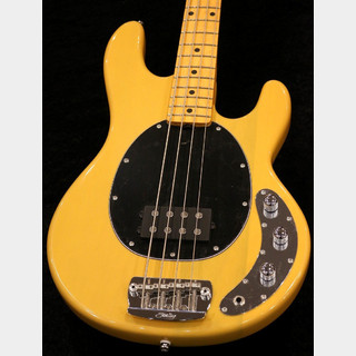 エレクトリック・ベース、Sterling by MUSIC MAN、stingrayの検索結果