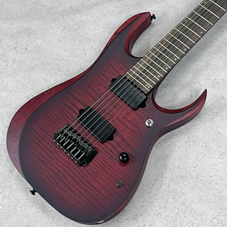 エレクトリックギター、TOKAI、STの検索結果【楽器検索デジマート】