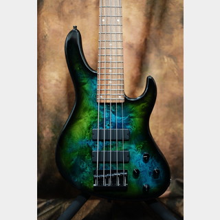 Sadowsky MetroLine 24-Fret Modern Bass, 2023 Special Edition Nebula, 5-String