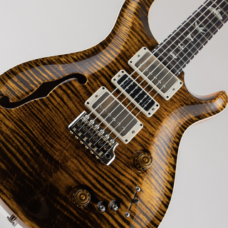 Paul Reed Smith(PRS) Special Semi-Hollow Yellow Tiger