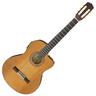 ARIAA-35CE エレガットギター トップ単板 クラシックギター